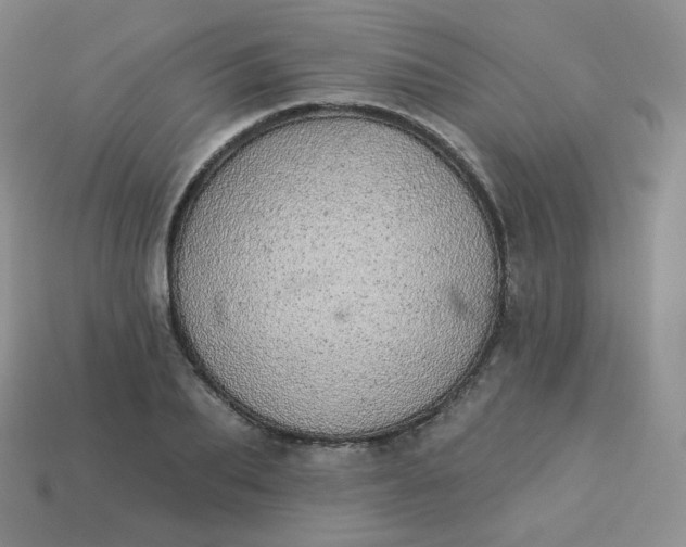 X0000114030887200910161817