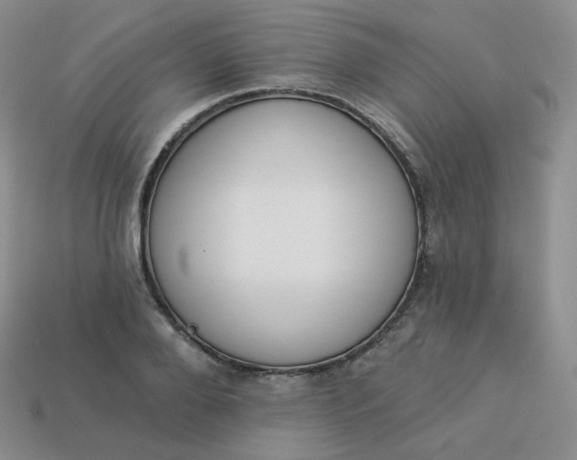 X0000114030888200910161817