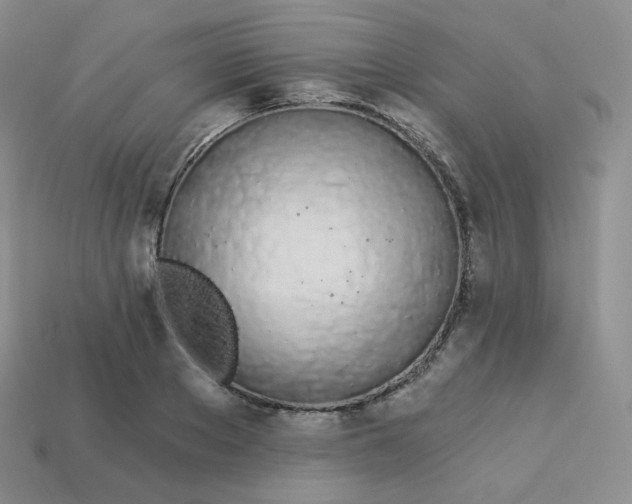 X0000114030889200910161817