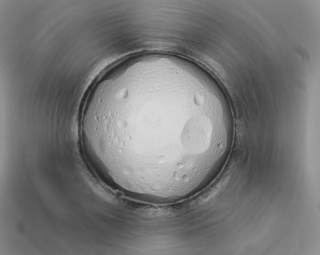 X0000114030891200910161817