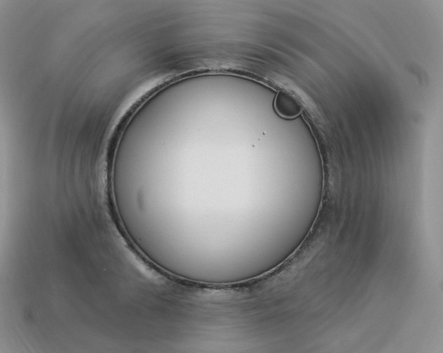 X0000114030894200910161817