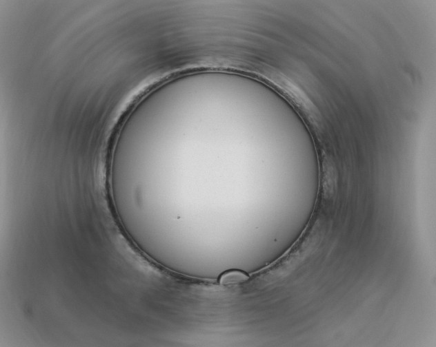 X0000114030896200910161817