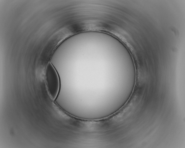 X0000114030897200910161817