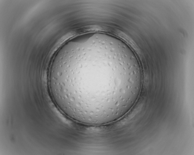 X0000114030898200910161817