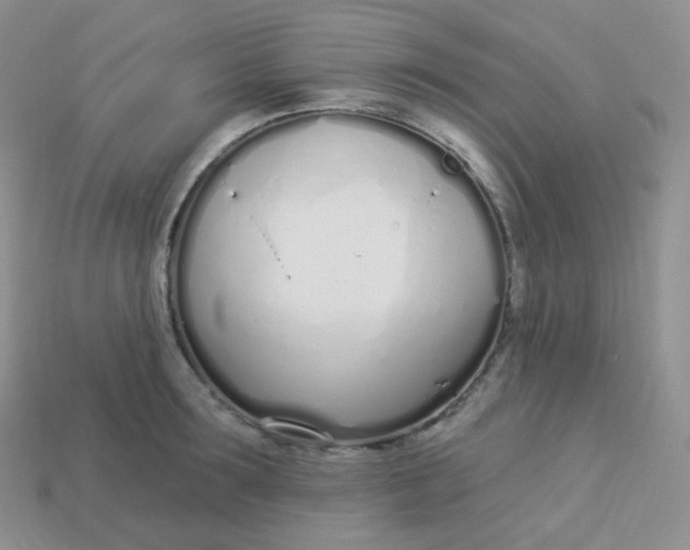 X0000114030899200910161817