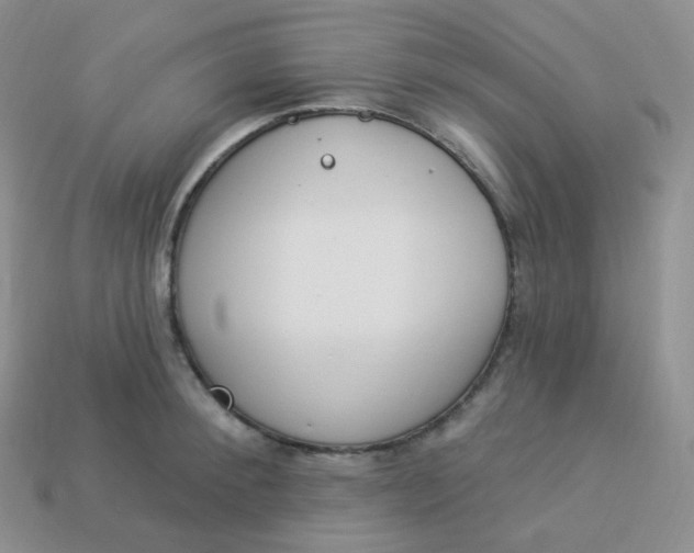 X0000114030900200910161817