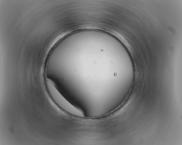 X0000114030901200910161817