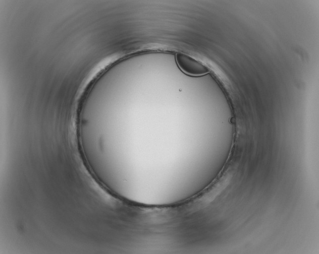 X0000114030902200910161817