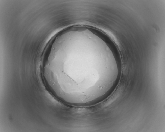 X0000114030903200910161817