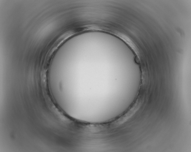 X0000114030906200910161817