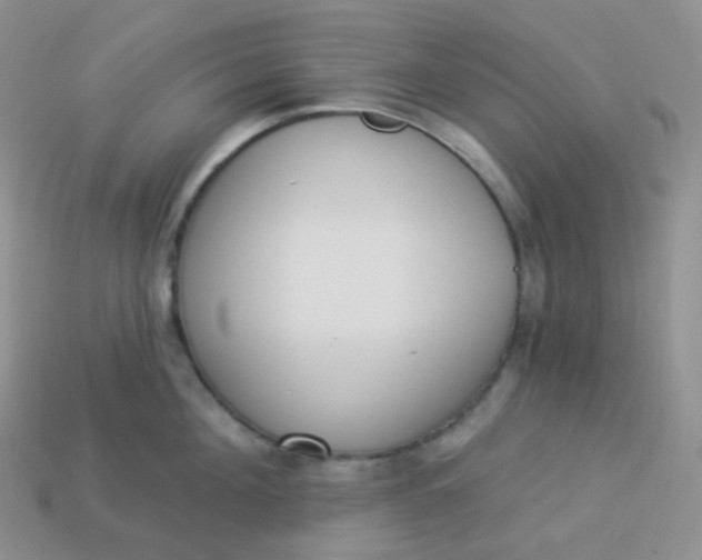 X0000114030908200910161817