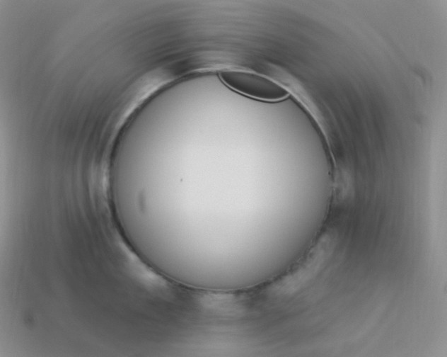 X0000114030909200910161817