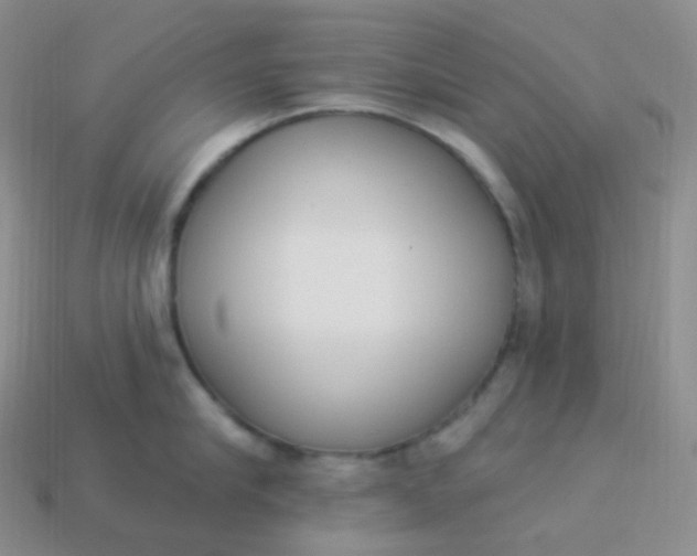 X0000114030910200910161817