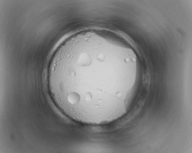 X0000114030911200910161817