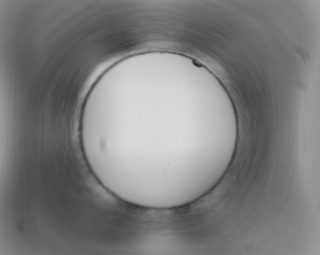 X0000114030912200910161817