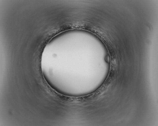 X0000114030913200910161816