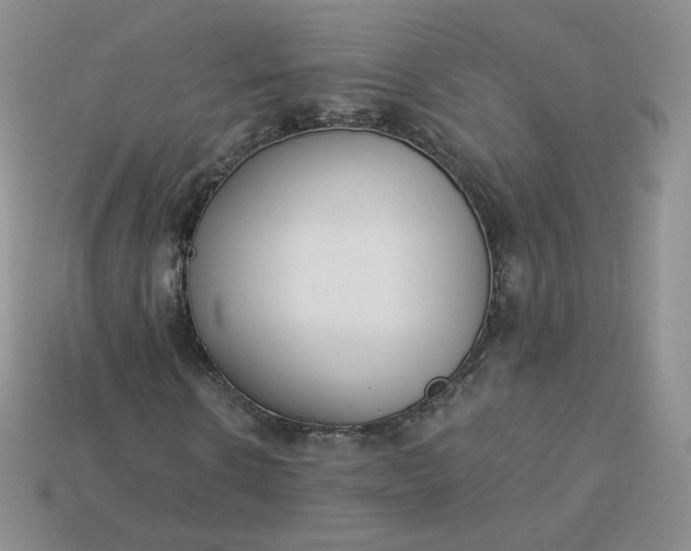 X0000114030914200910161816