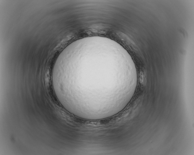 X0000114030915200910161816