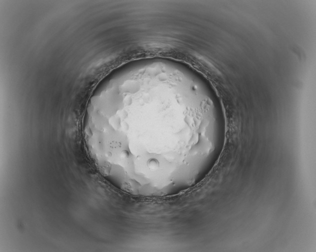 X0000114030917200910161816