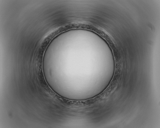 X0000114030919200910161816