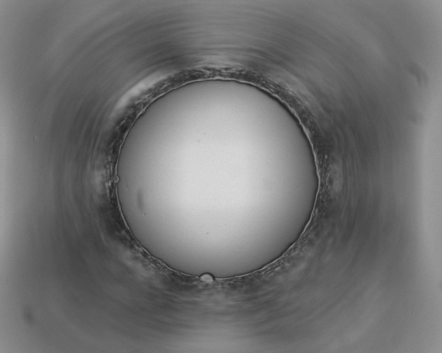 X0000114030920200910161816