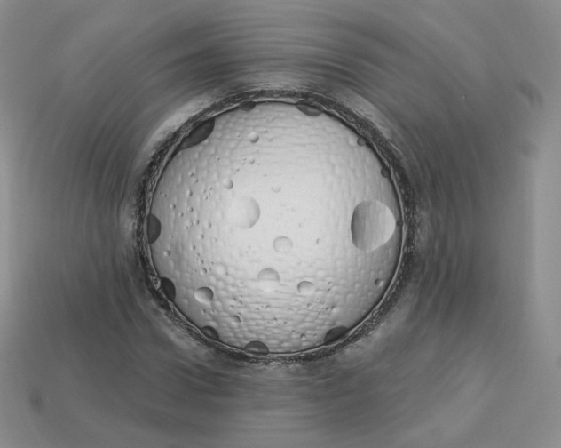 X0000114030922200910161816