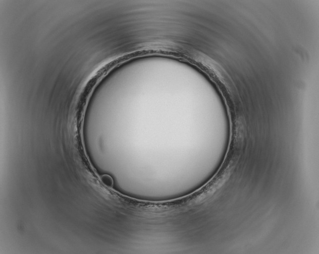 X0000114030923200910161816