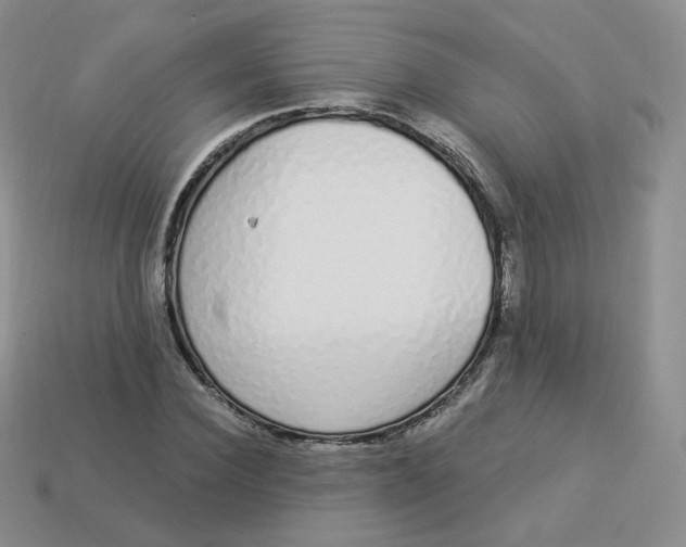 X0000114030924200910161816