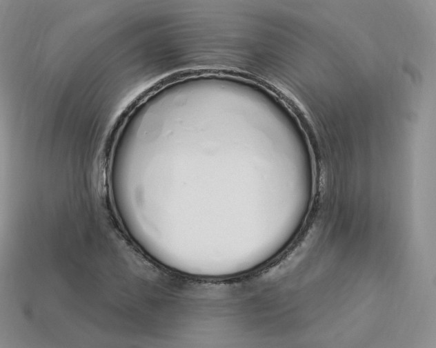 X0000114030925200910161816