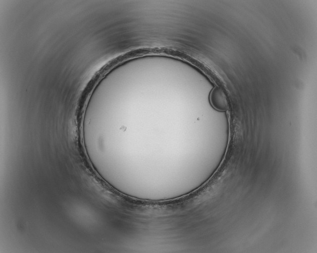 X0000114030927200910161816