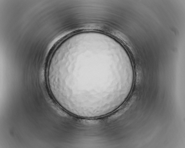 X0000114030928200910161816