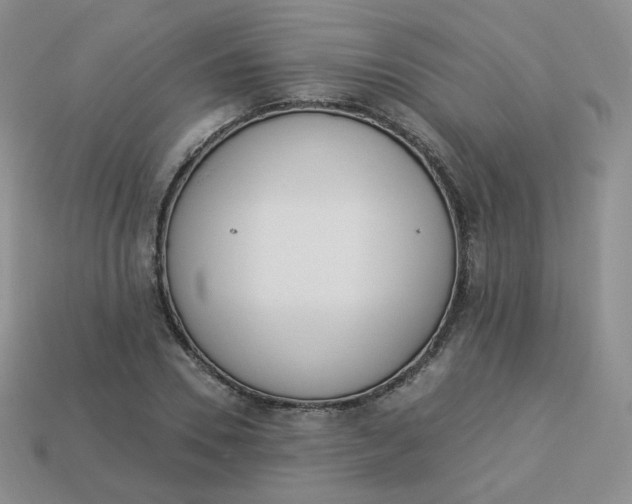 X0000114030930200910161816