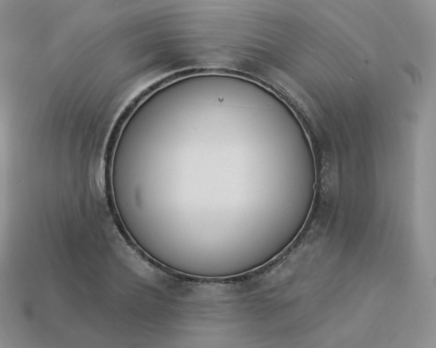 X0000114030932200910161816