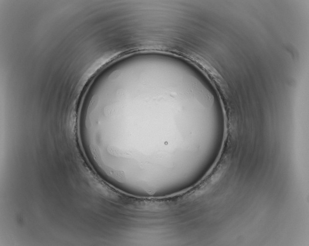 X0000114030933200910161816