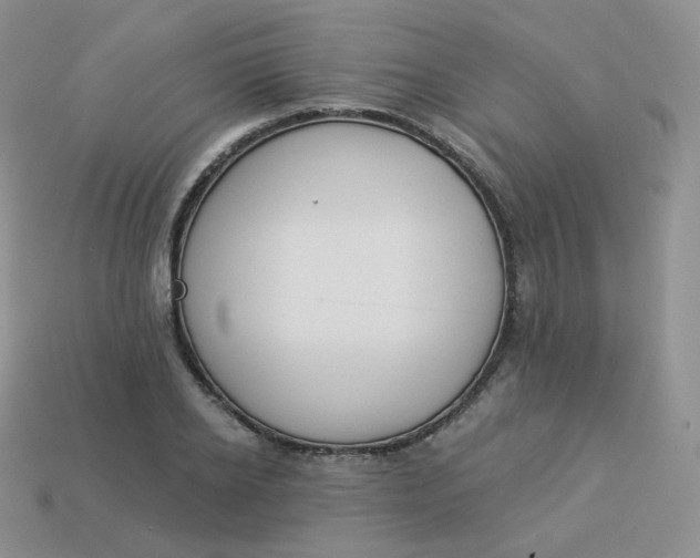 X0000114030934200910161816