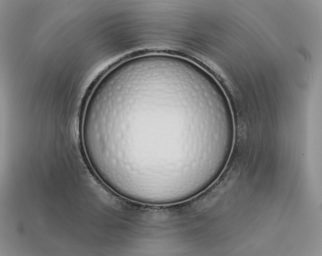 X0000114030935200910161816