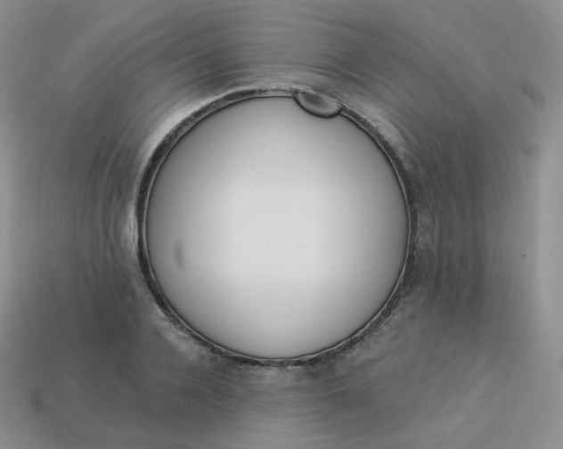 X0000114030936200910161816