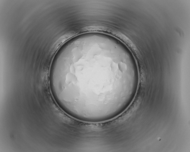 X0000114030937200910161816