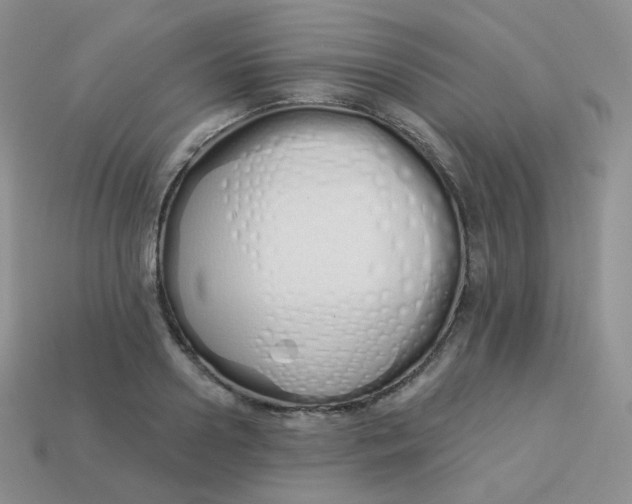 X0000114030938200910161816