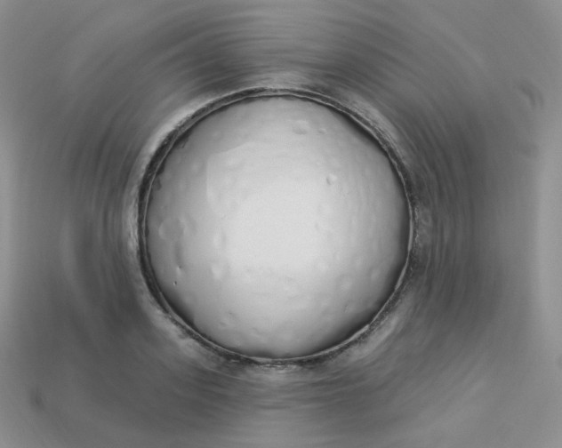 X0000114030939200910161816