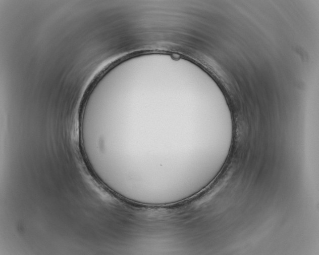 X0000114030940200910161816