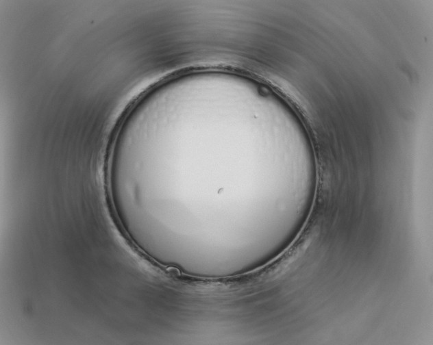 X0000114030943200910161817