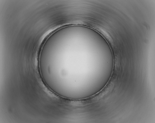 X0000114030944200910161817