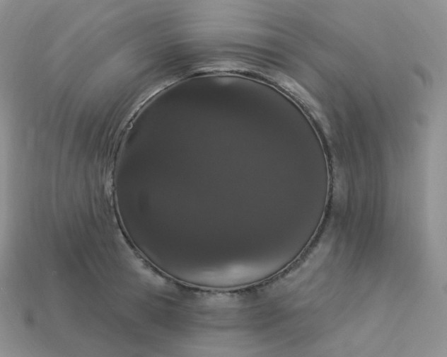 X0000114030945200910161817