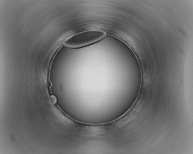 X0000114030946200910161817