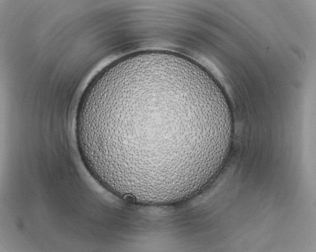 X0000114030947200910161817