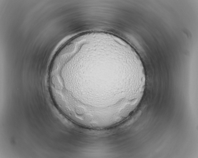 X0000114030948200910161817