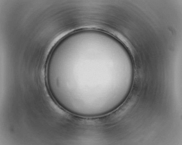 X0000114030951200910161817