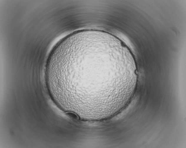 X0000114030952200910161817