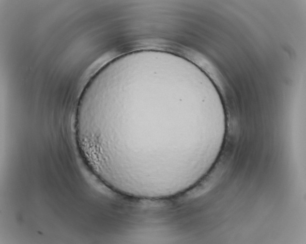 X0000114030954200910161817